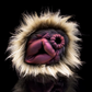 Sasquatch Masturbator